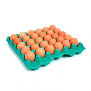 OVOS VERMELHOS PLAST. C/30