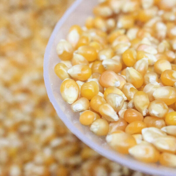 MILHO DE PIPOCA KG.