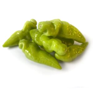 PIMENTA CHEIRO DOCE KG