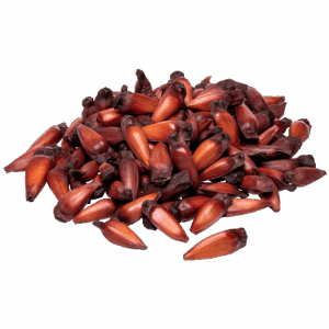 PINHAO KG.