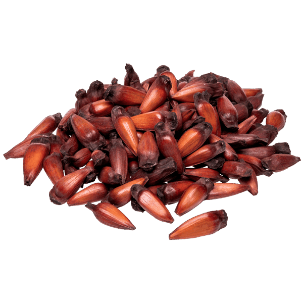PINHAO KG.